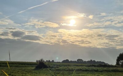 06// Loslaten…? of anders vasthouden?